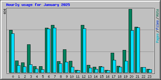 Hourly usage for January 2025