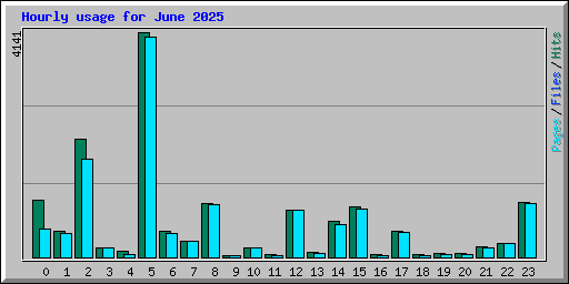 Hourly usage for June 2025
